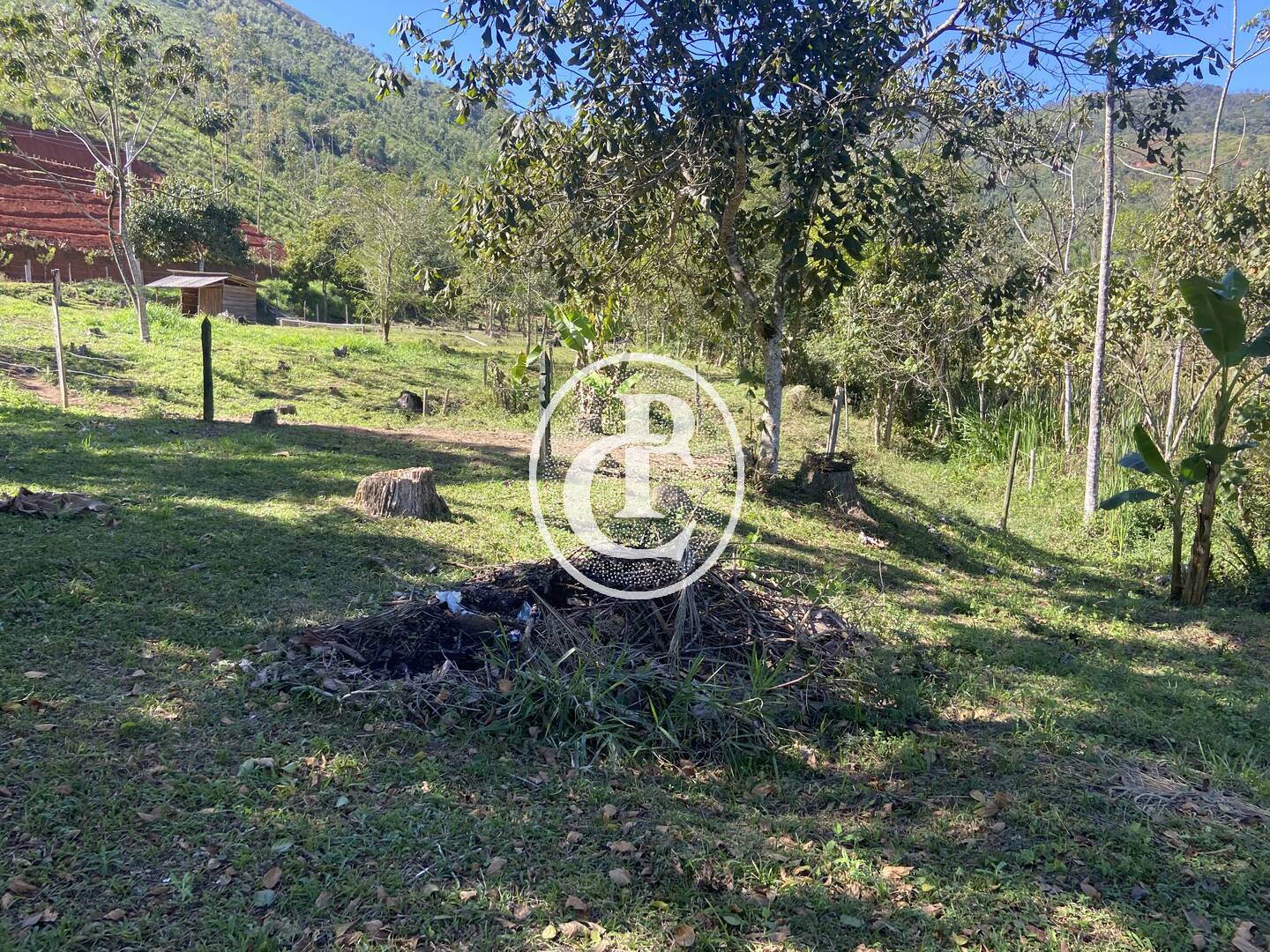 Chácara, 2 quartos, 2 hectares - Foto 13