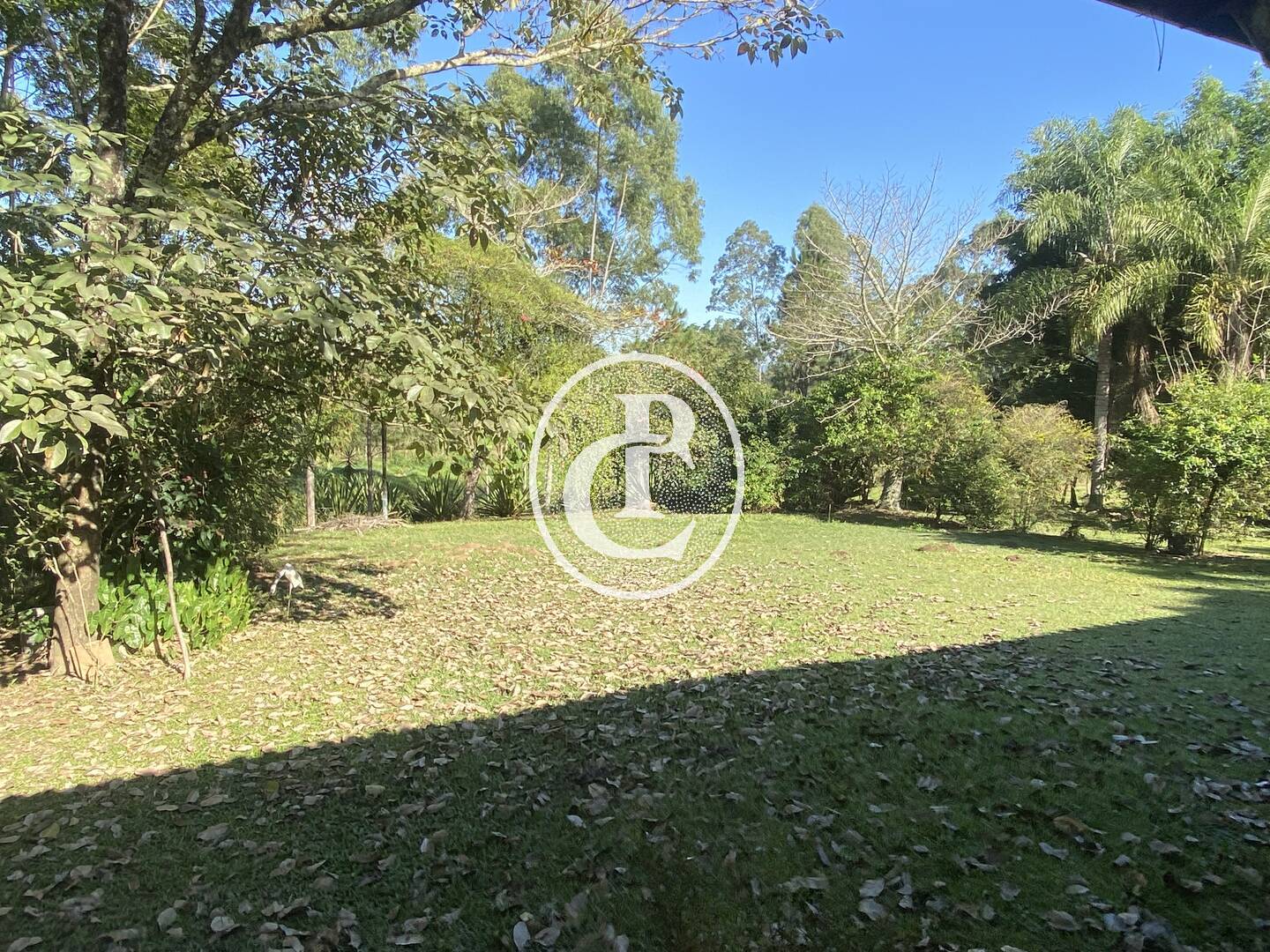 Chácara, 3 quartos, 2 hectares - Foto 7
