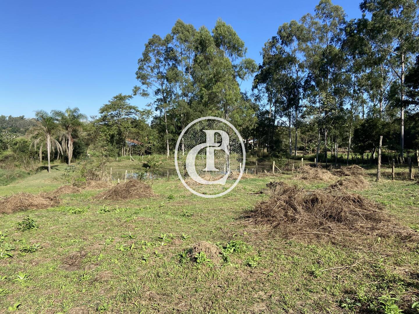 Chácara, 3 quartos, 2 hectares - Foto 9