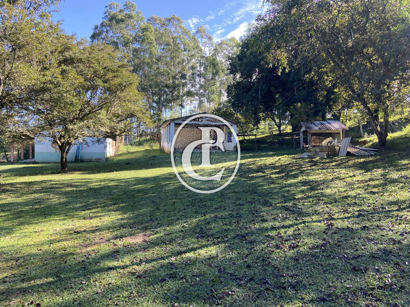 Chácara, 3 quartos, 2 hectares - Foto 11