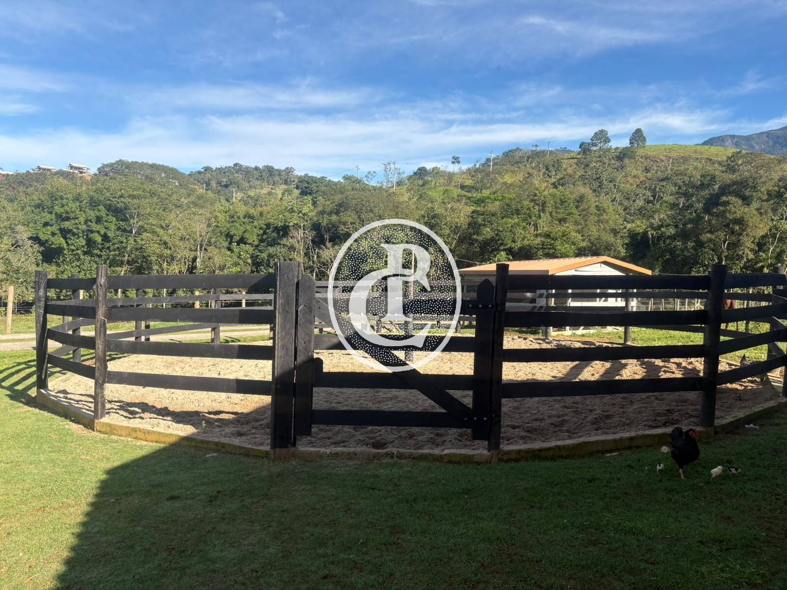 Fazenda, 201 hectares - Foto 6