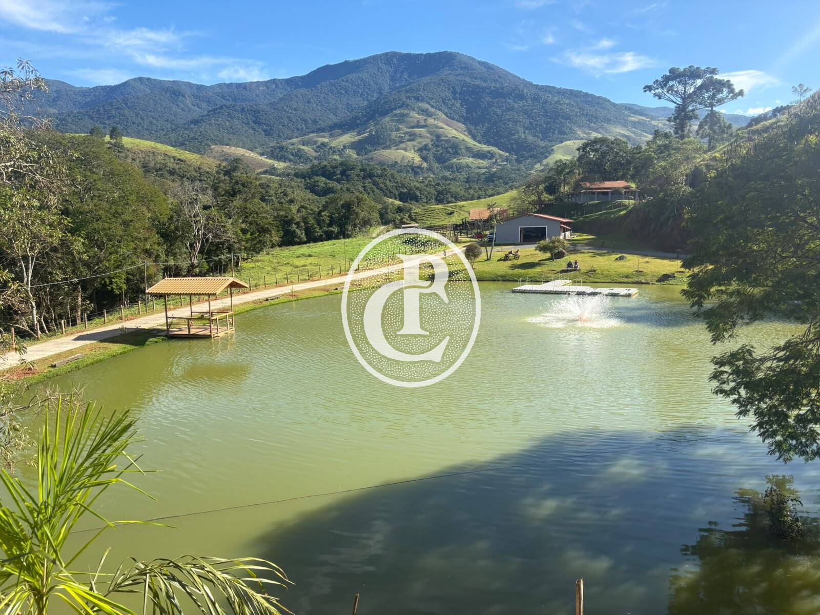 Fazenda, 201 hectares - Foto 14
