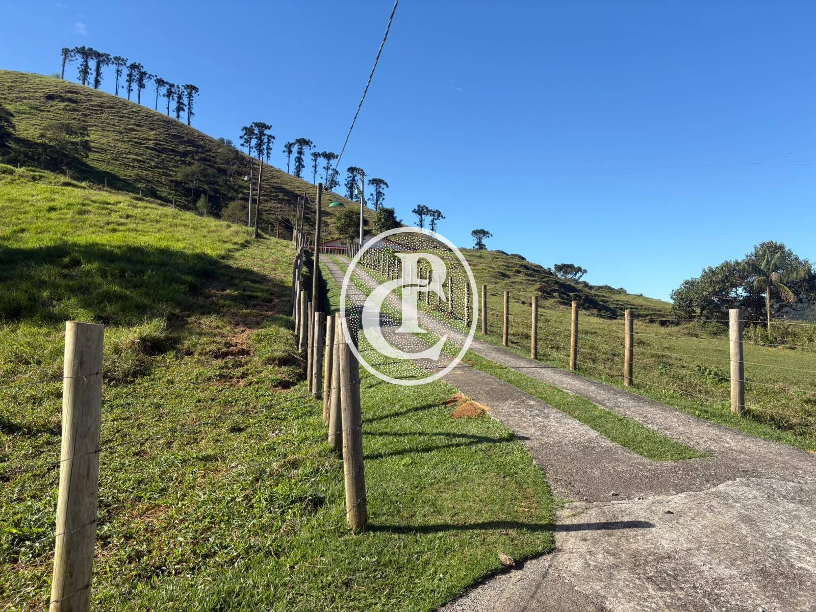 Fazenda, 201 hectares - Foto 15