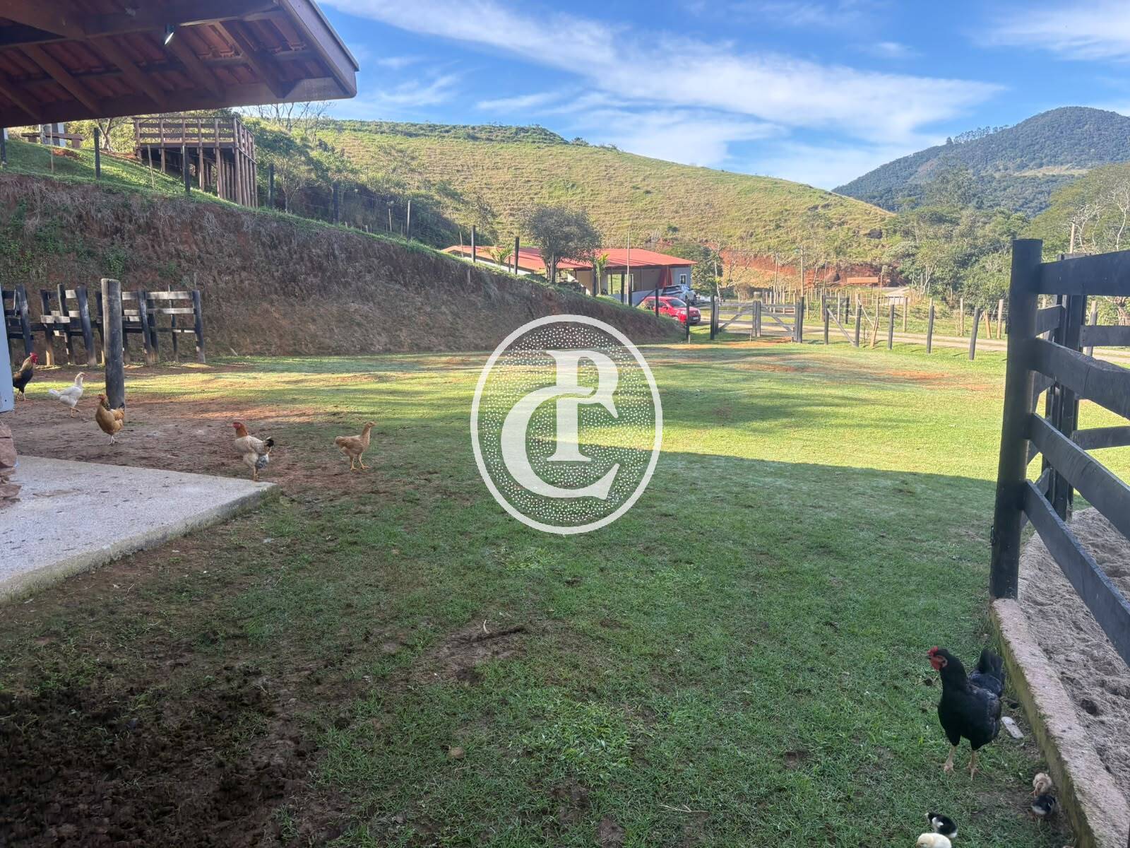 Fazenda, 201 hectares - Foto 17
