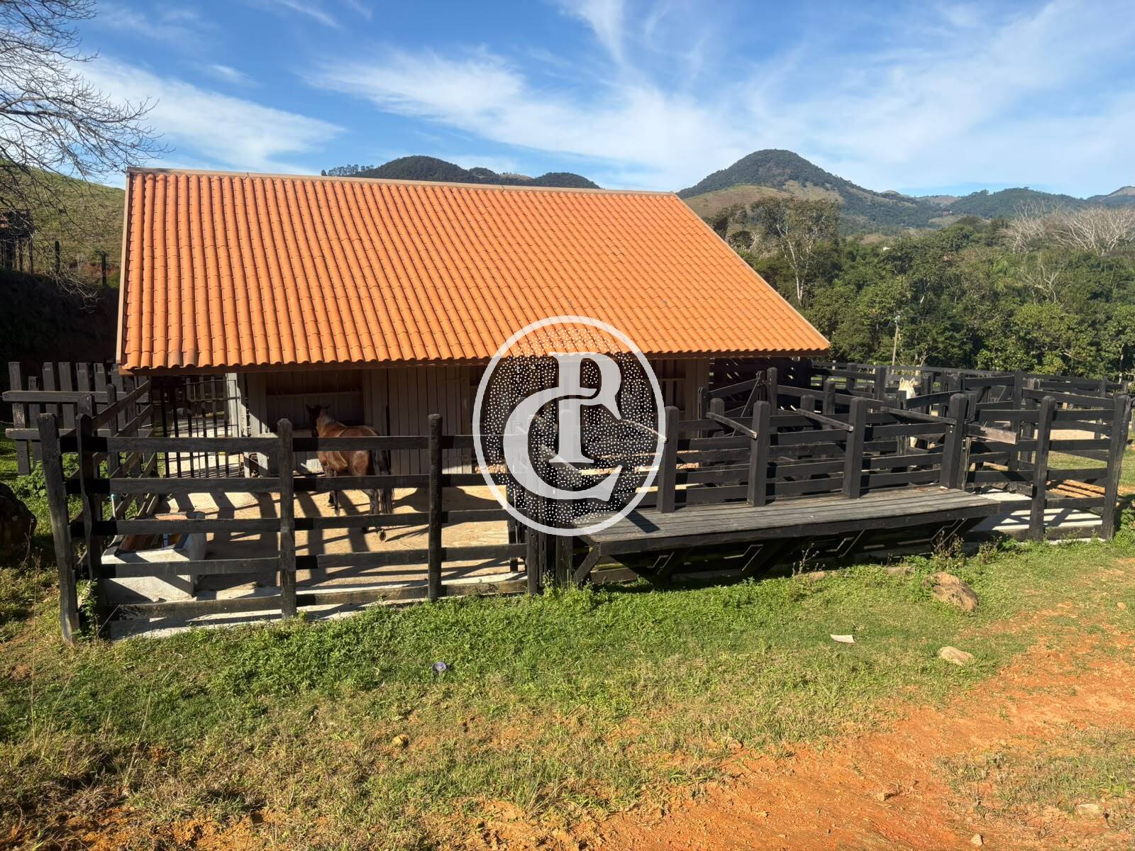 Fazenda, 201 hectares - Foto 19