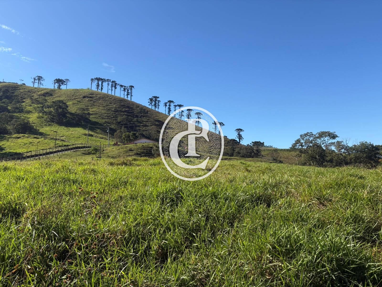 Fazenda, 201 hectares - Foto 33