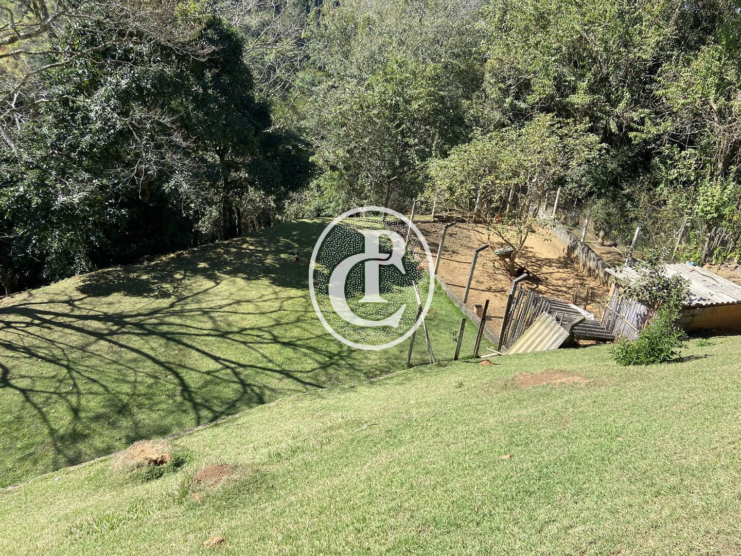 Chácara, 4 quartos, 5000 m² - Foto 11