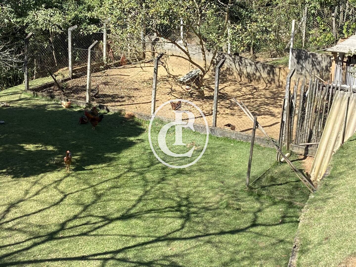 Chácara, 4 quartos, 5000 m² - Foto 17