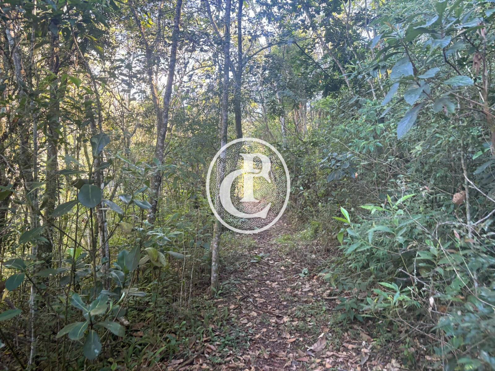 Sítio, 3 quartos, 10 hectares - Foto 41