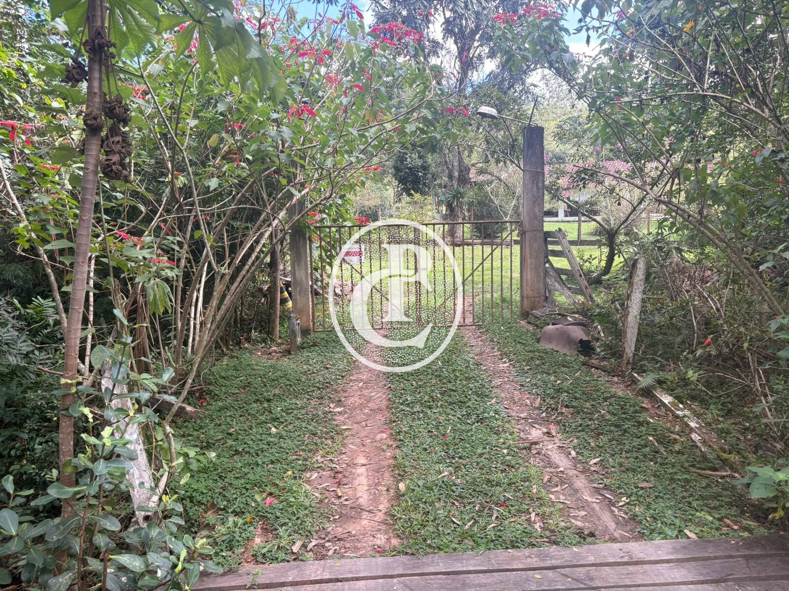 Sítio, 3 quartos, 10 hectares - Foto 42