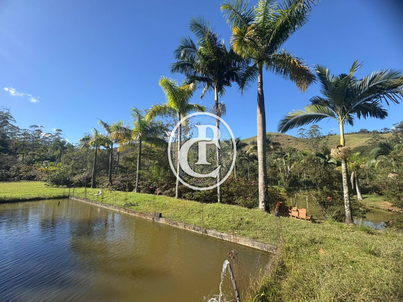 Sítio, 3 quartos, 10 hectares - Foto 49