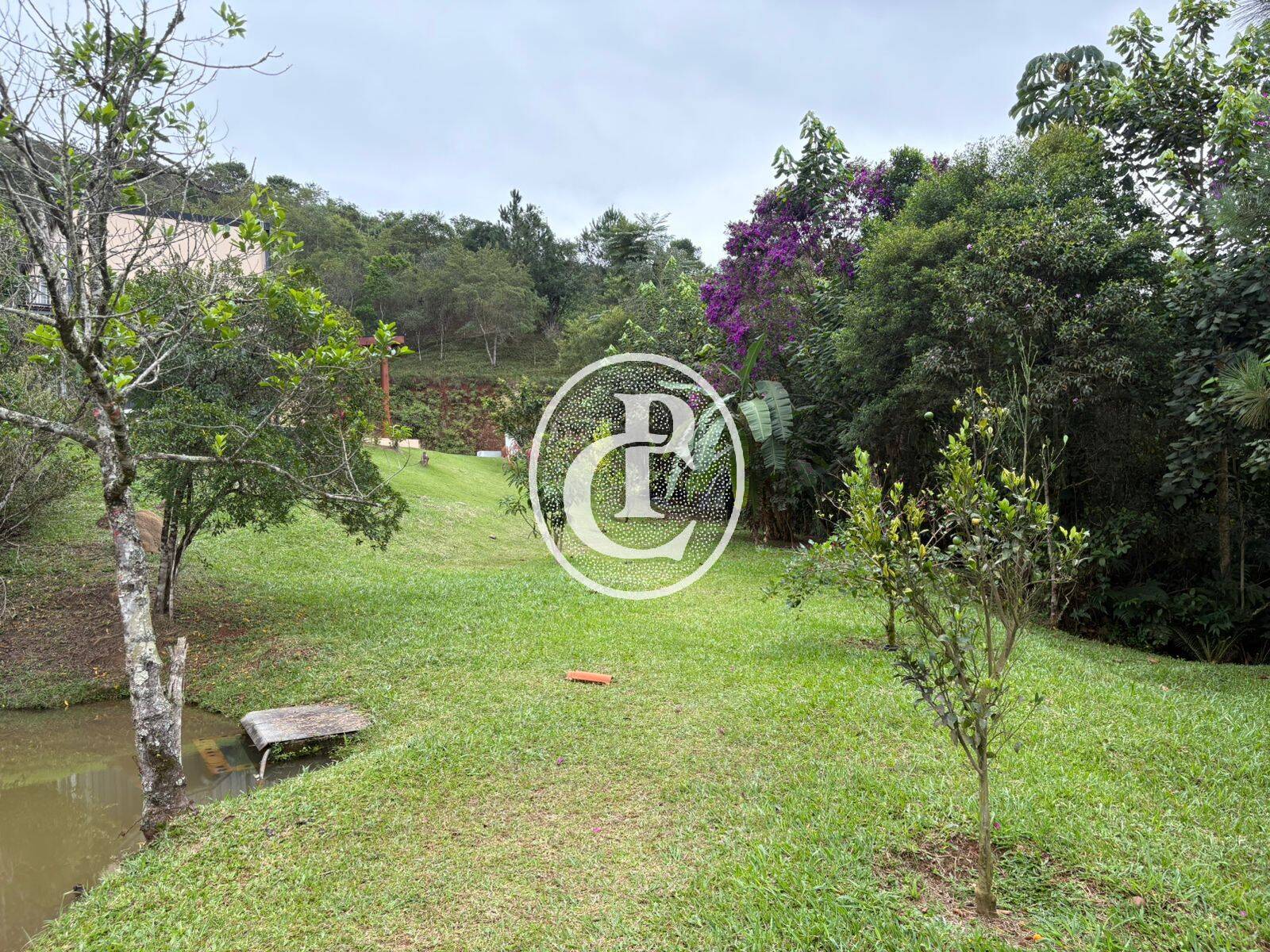 Chácara, 2 quartos, 2 hectares - Foto 6