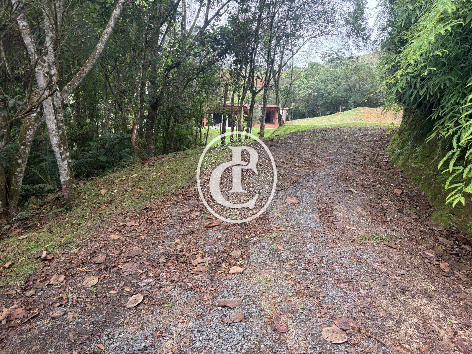 Chácara, 2 quartos, 2 hectares - Foto 10