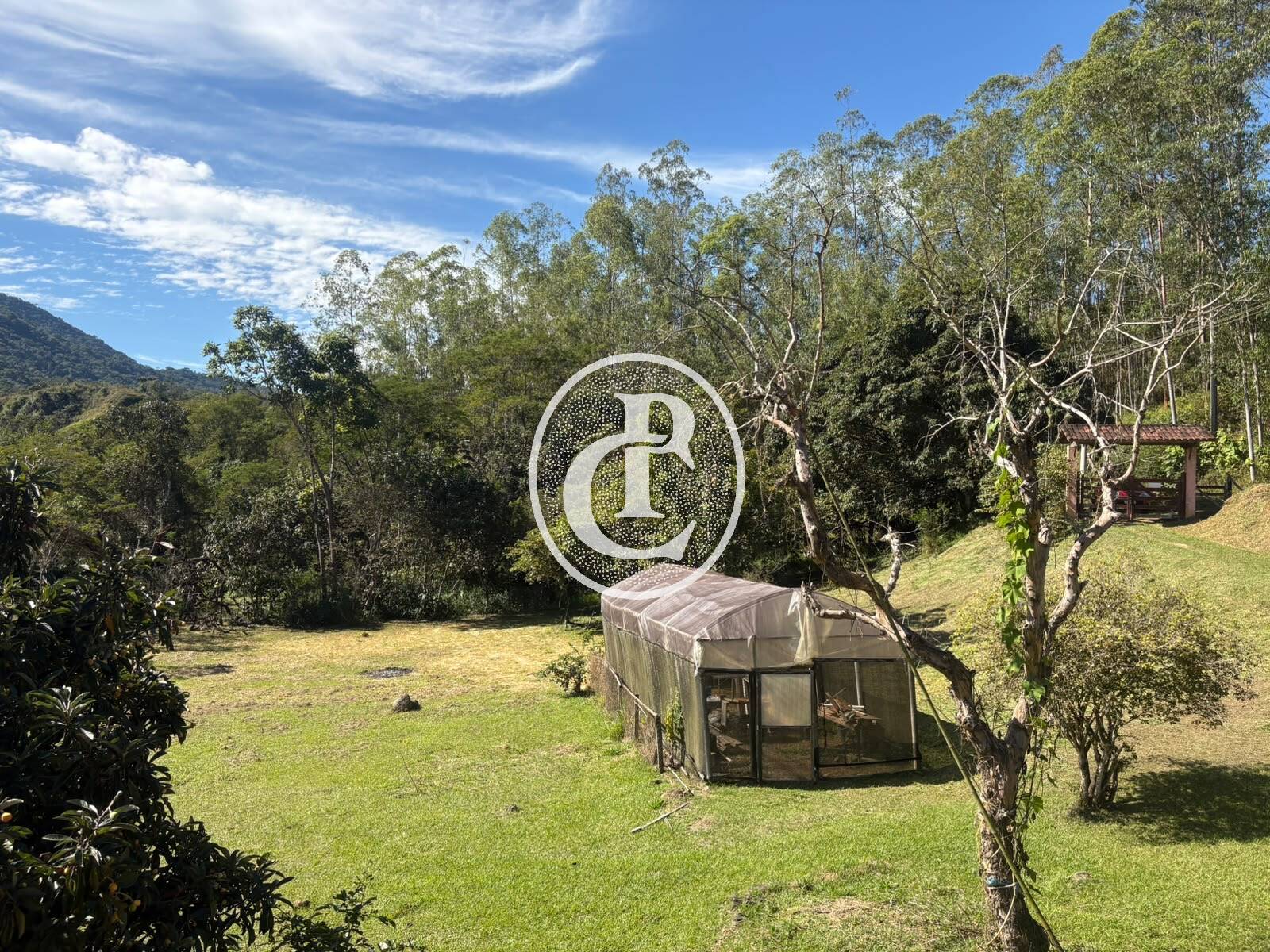 Chácara, 2 quartos, 2 hectares - Foto 6