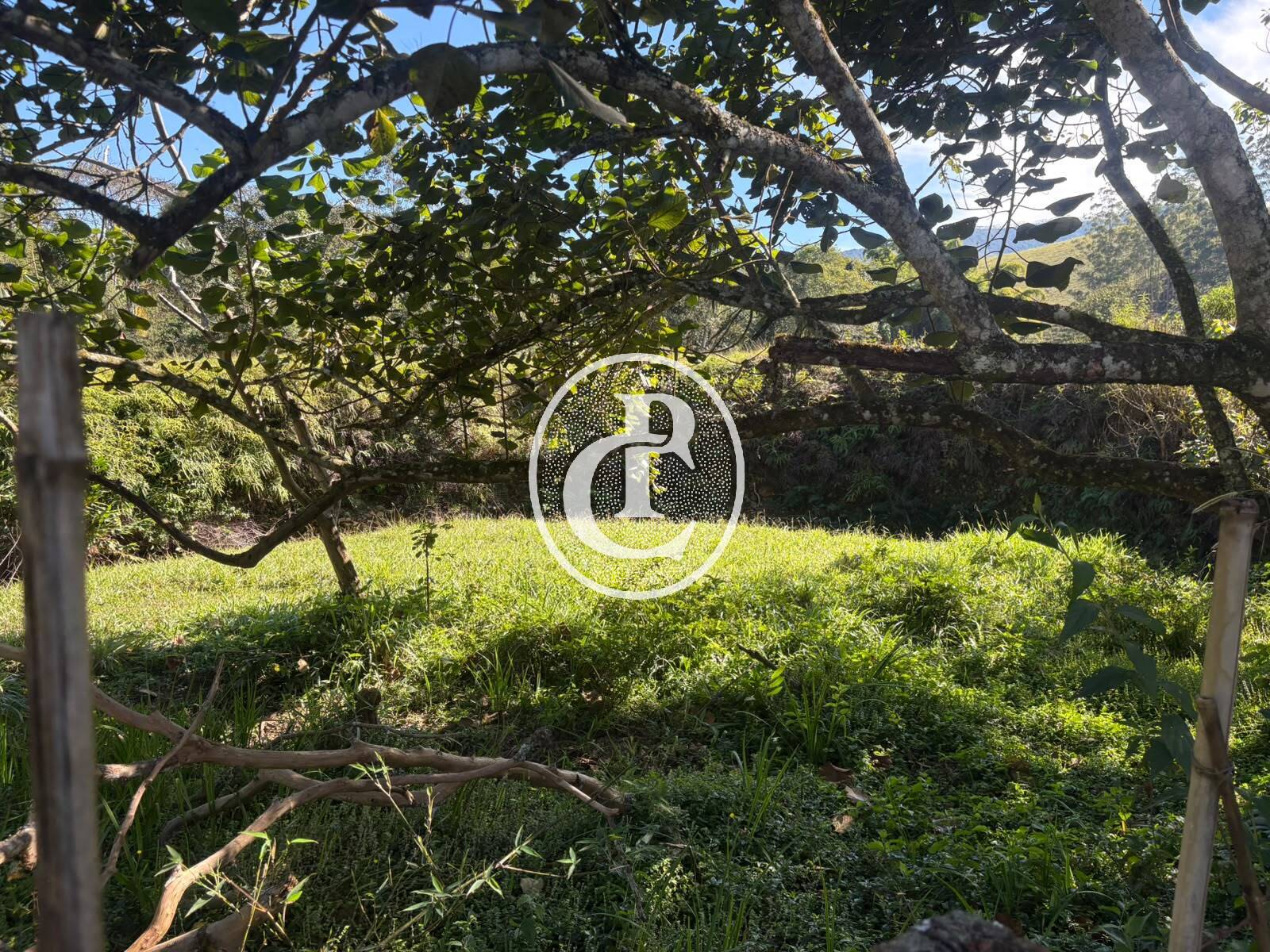 Chácara, 2 quartos, 2 hectares - Foto 12
