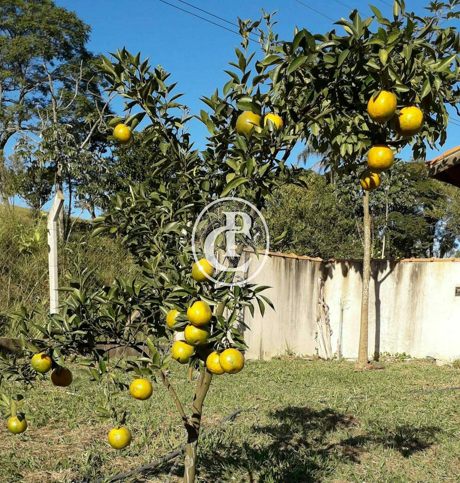 Chácara, 2 quartos, 5000 m² - Foto 10