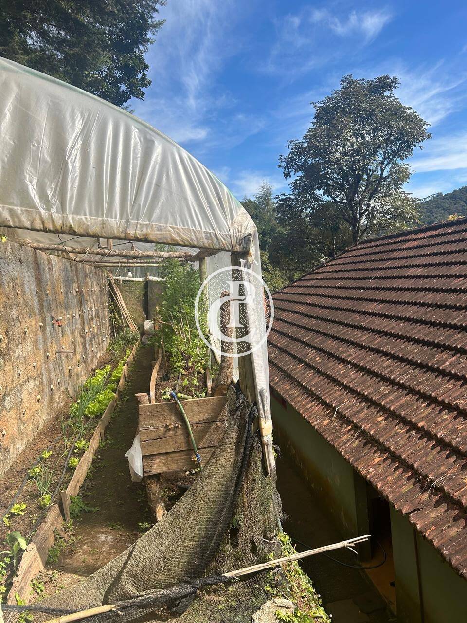 Sítio, 3 quartos, 24 hectares - Foto 15