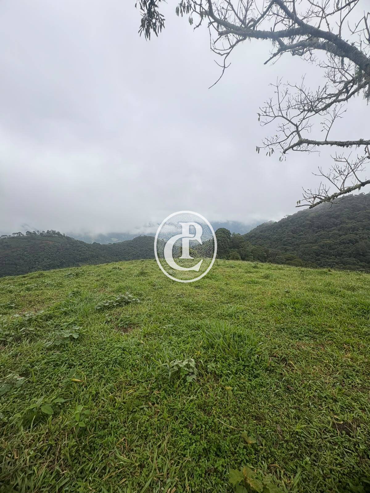 Sítio, 3 quartos, 27 hectares - Foto 8