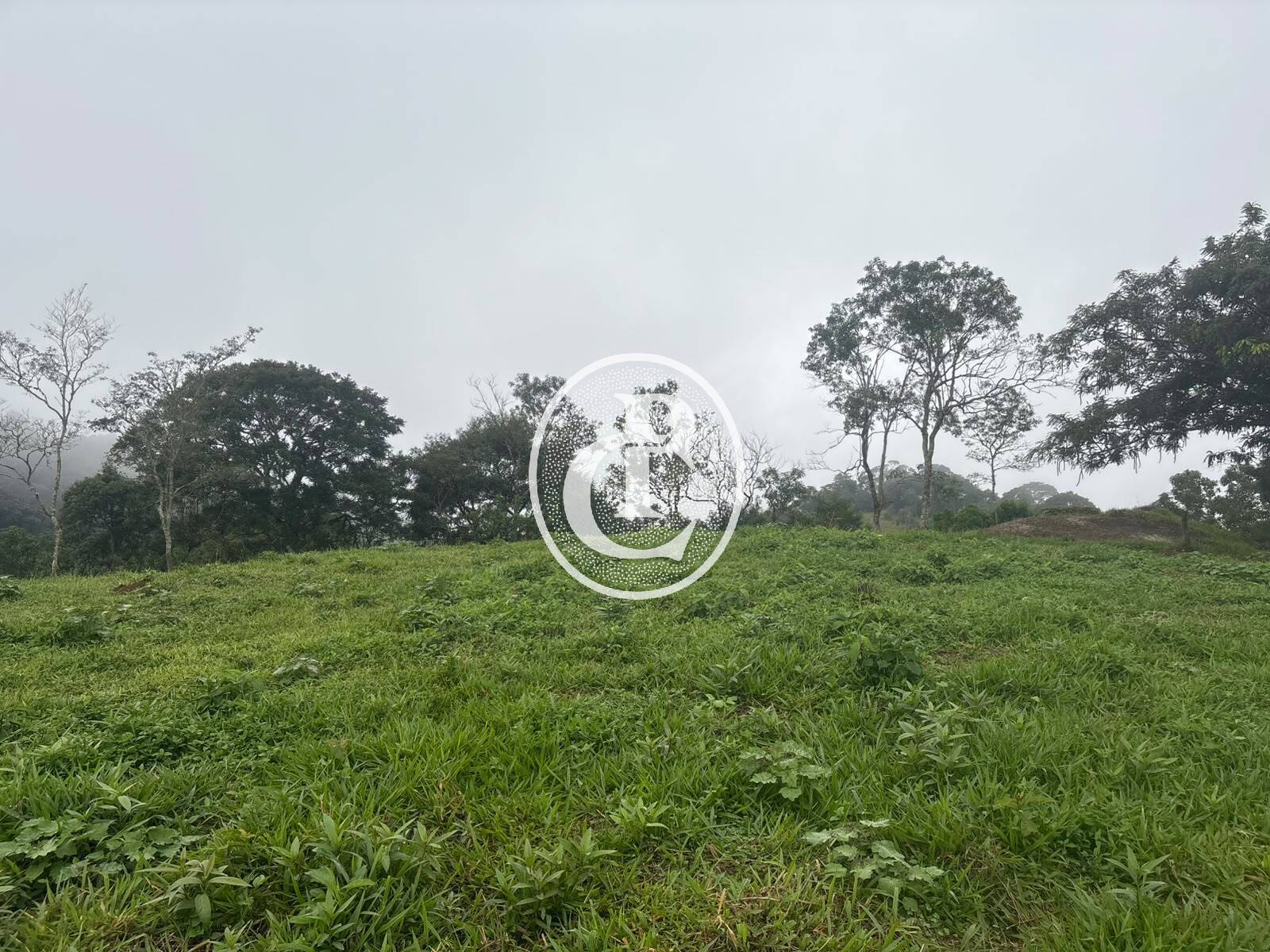 Sítio, 3 quartos, 27 hectares - Foto 7