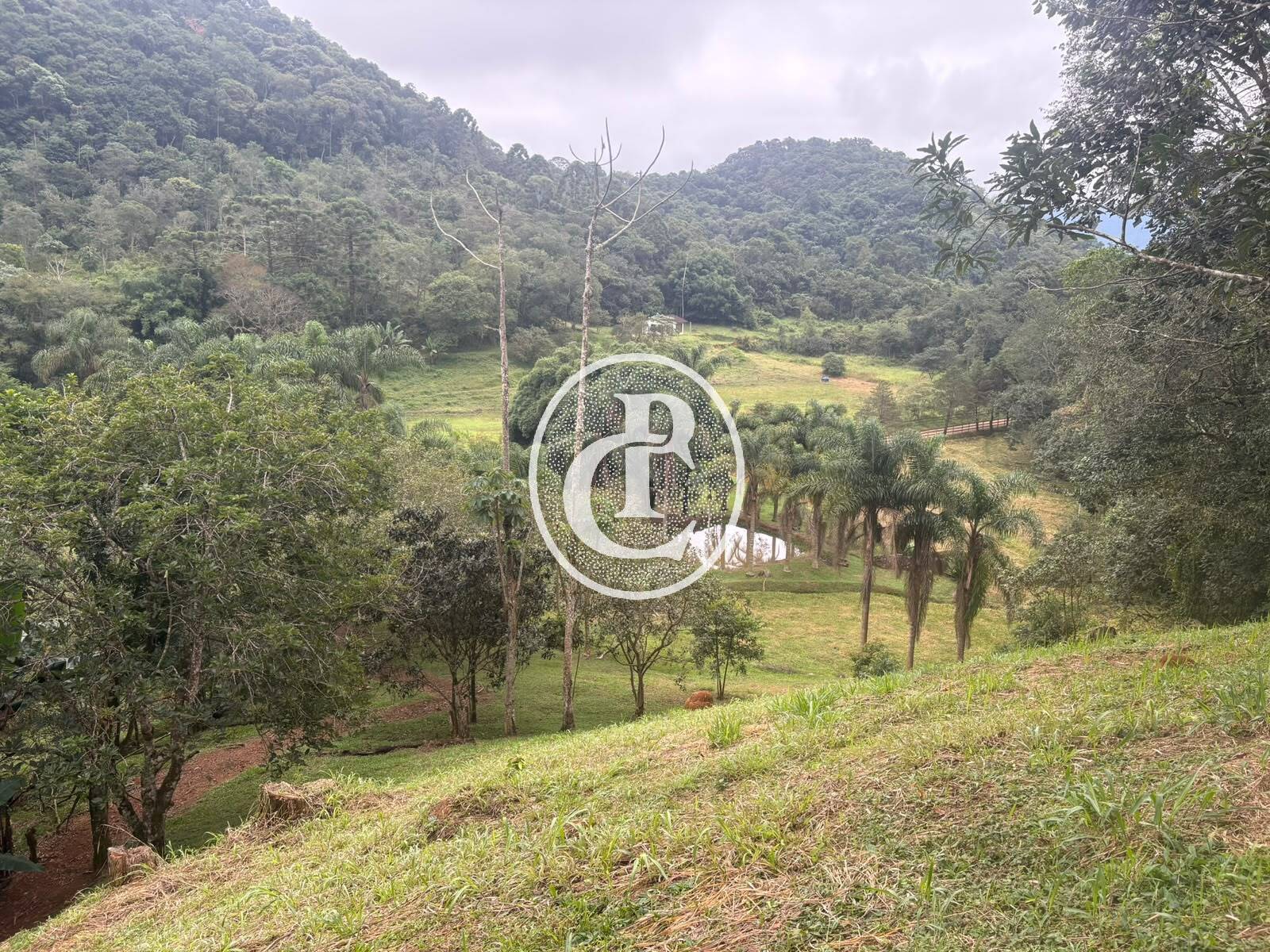 Sítio, 3 quartos, 27 hectares - Foto 17