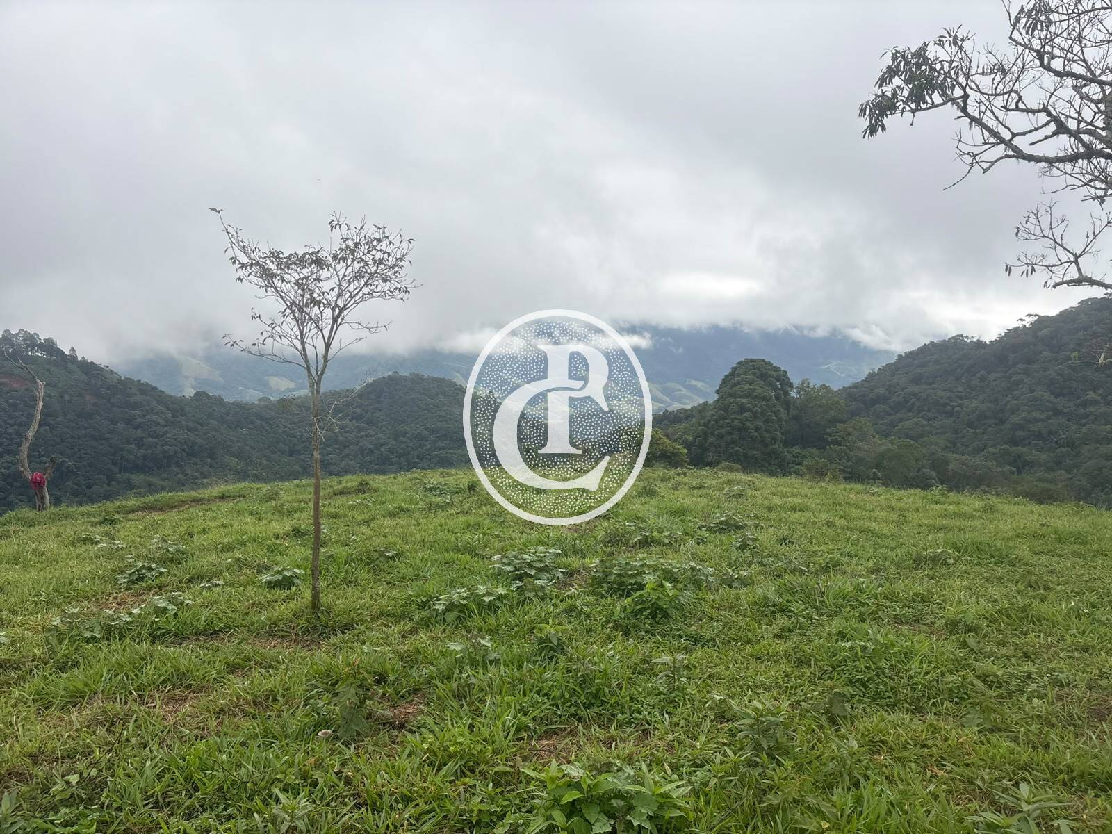 Sítio, 3 quartos, 27 hectares - Foto 18