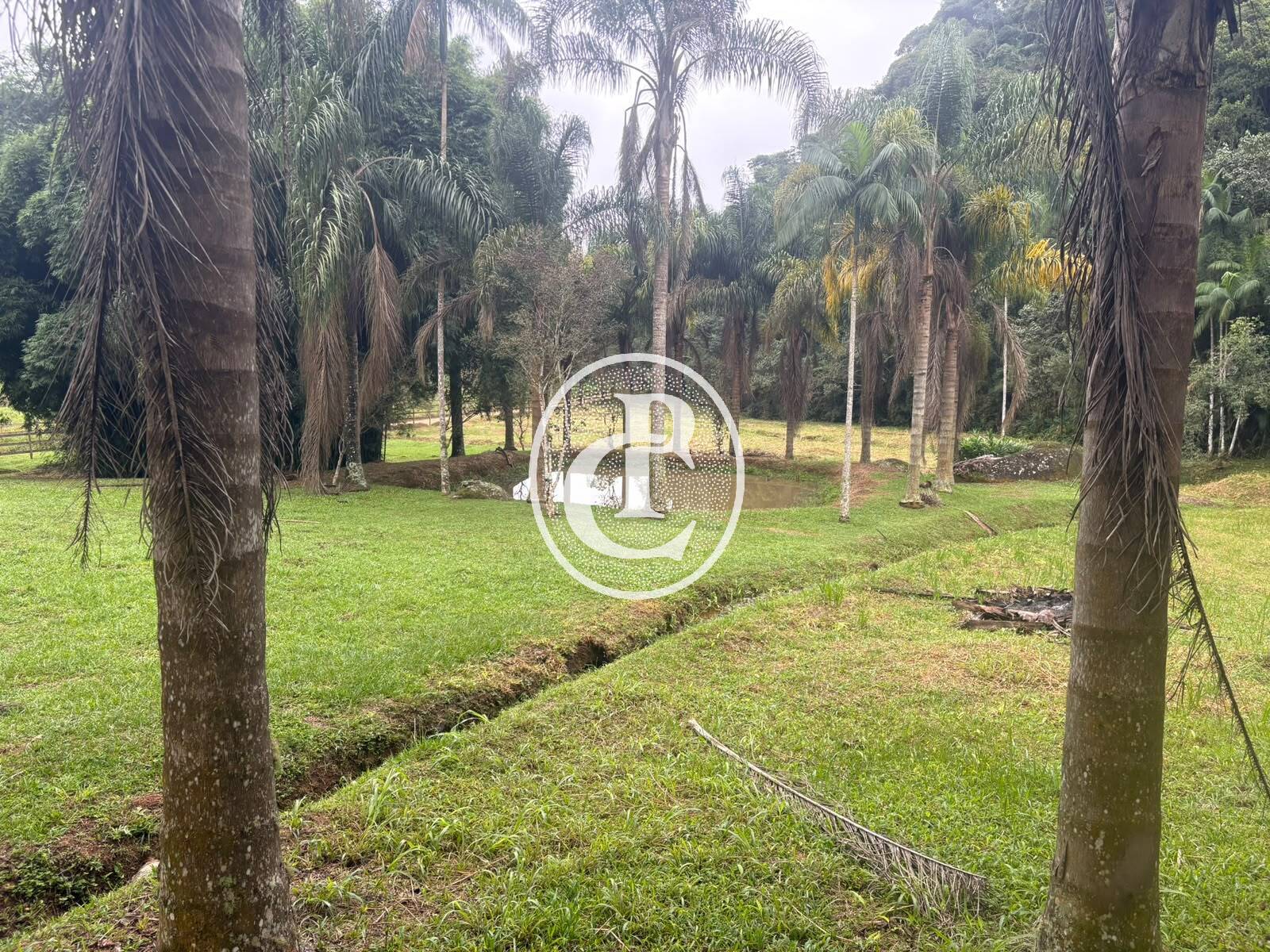 Sítio, 3 quartos, 27 hectares - Foto 19