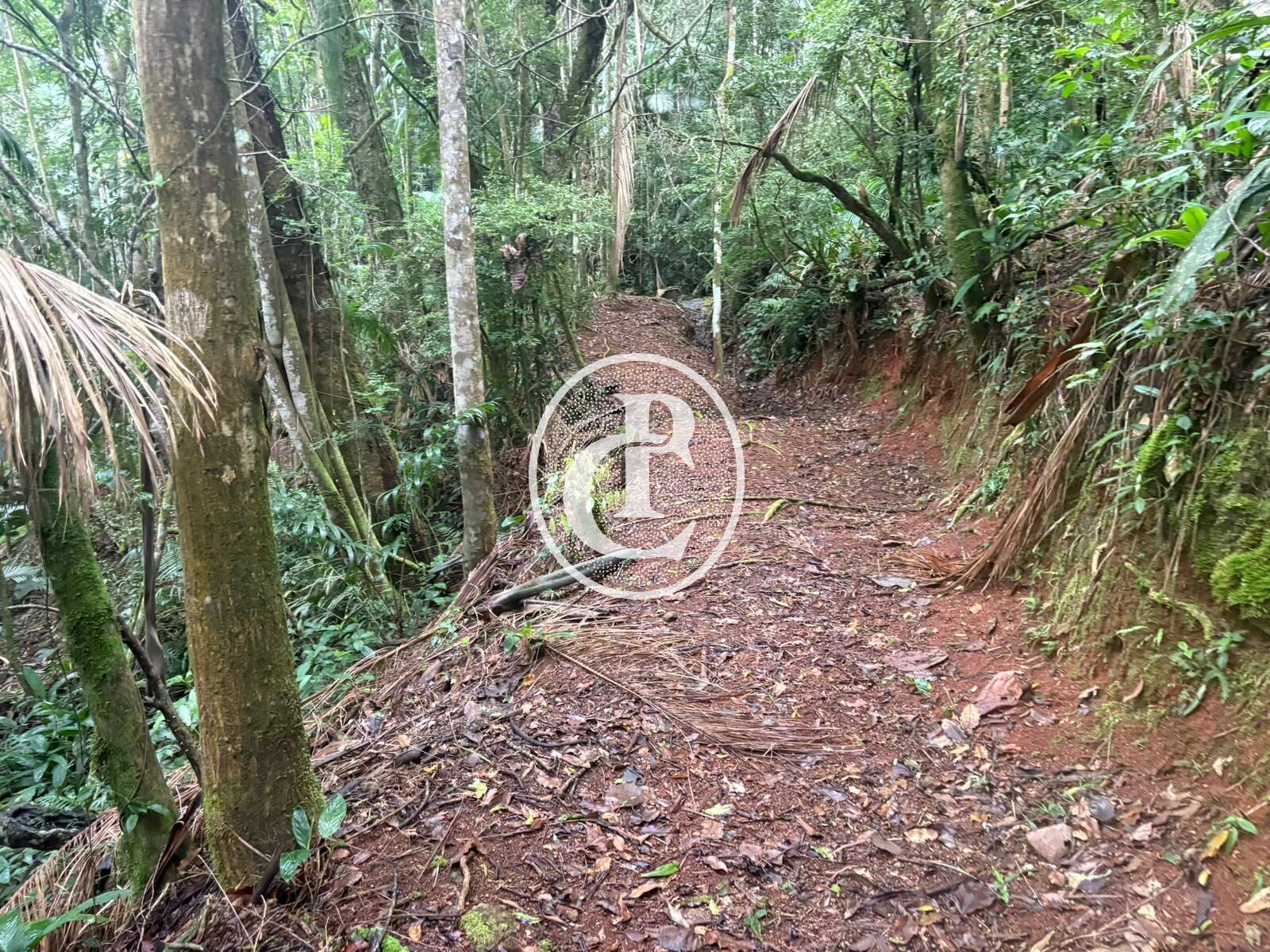 Sítio, 3 quartos, 27 hectares - Foto 20