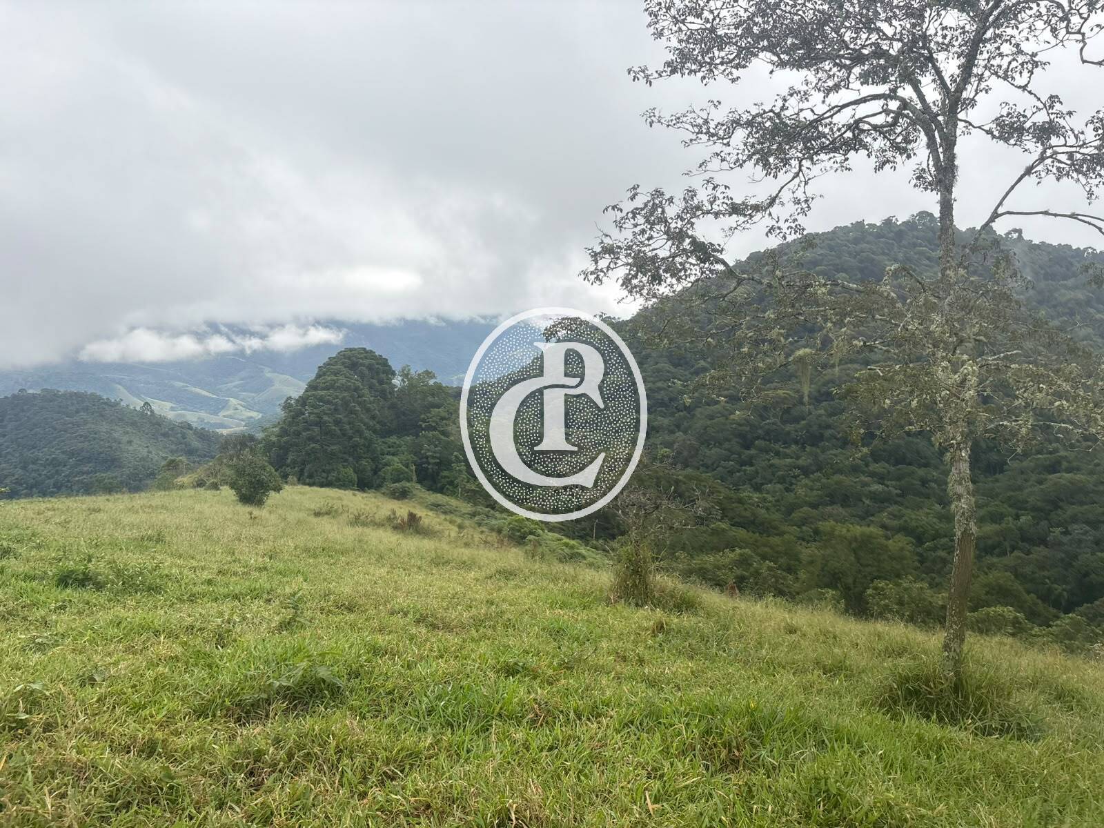 Sítio, 3 quartos, 27 hectares - Foto 23
