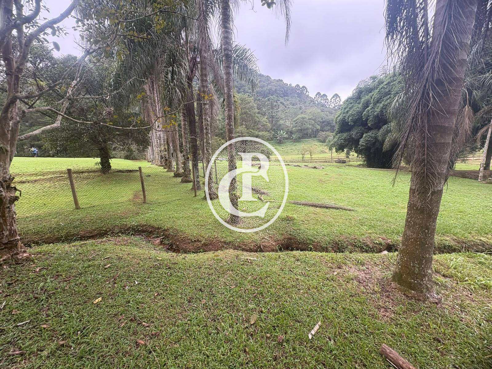 Sítio, 3 quartos, 27 hectares - Foto 26