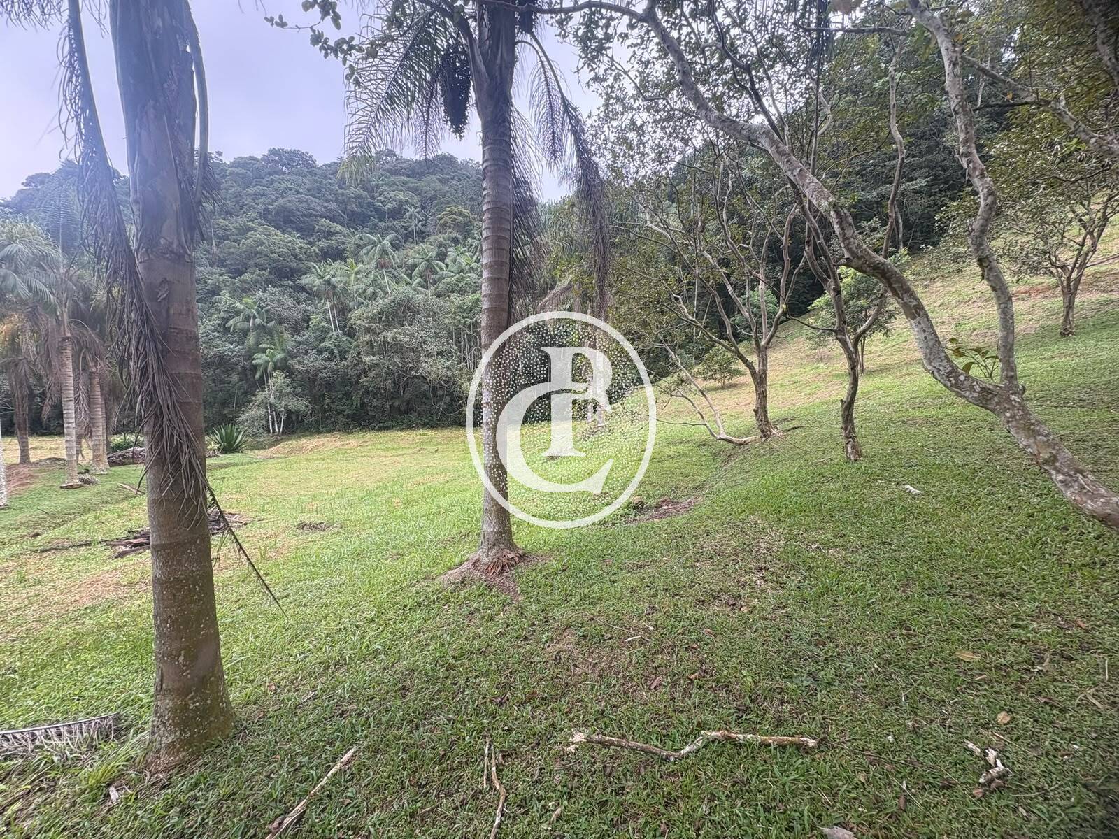 Sítio, 3 quartos, 27 hectares - Foto 27