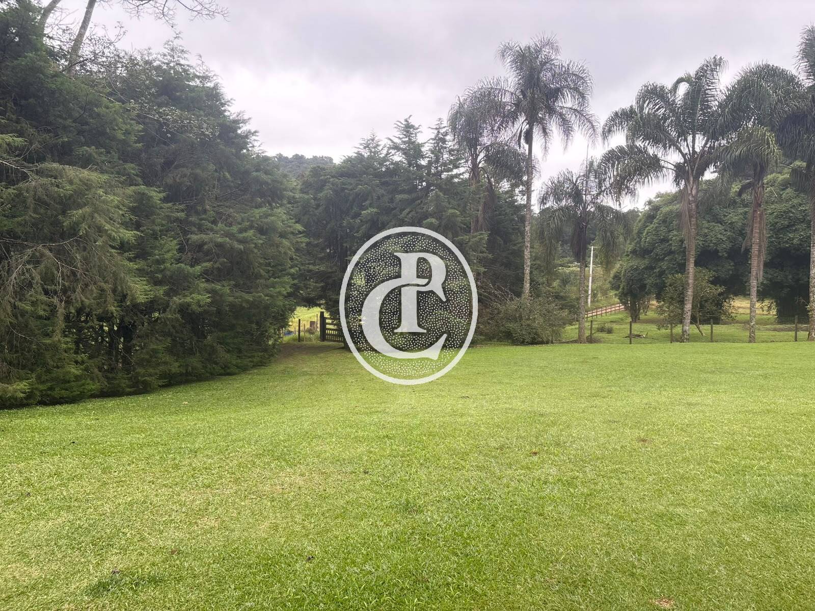 Sítio, 3 quartos, 27 hectares - Foto 30