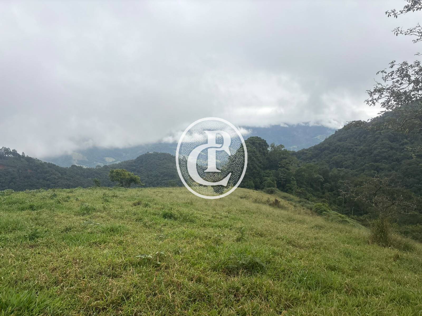 Sítio, 3 quartos, 27 hectares - Foto 32