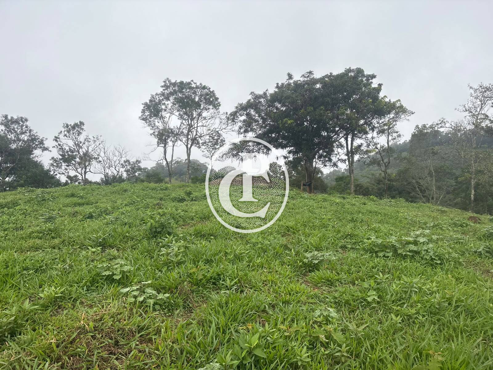 Sítio, 3 quartos, 27 hectares - Foto 34
