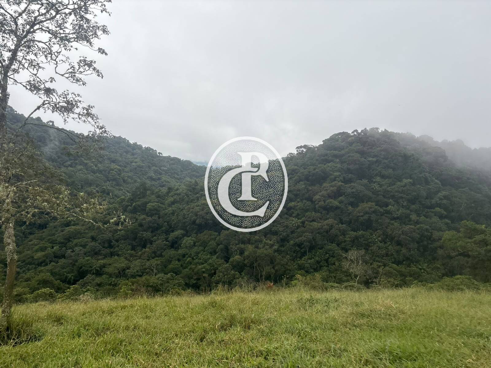 Sítio, 3 quartos, 27 hectares - Foto 36