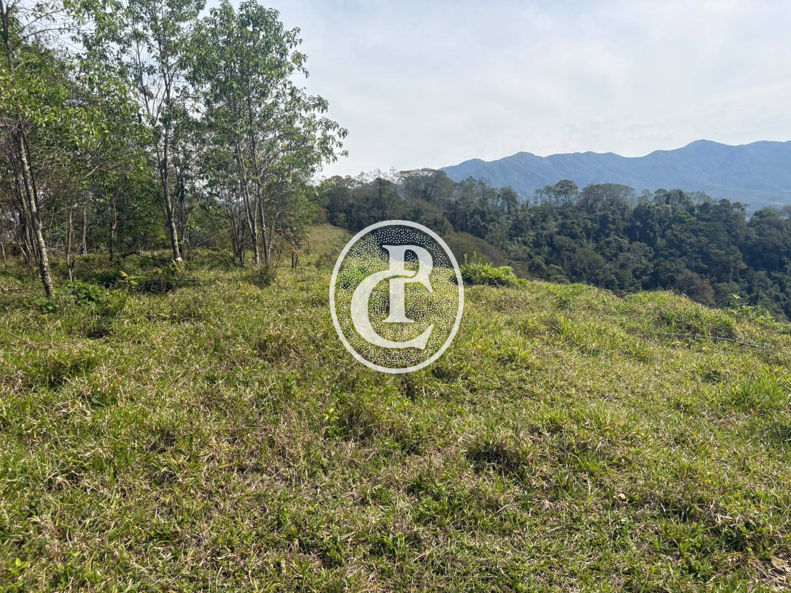 Sítio, 31 quartos, 29 hectares - Foto 7