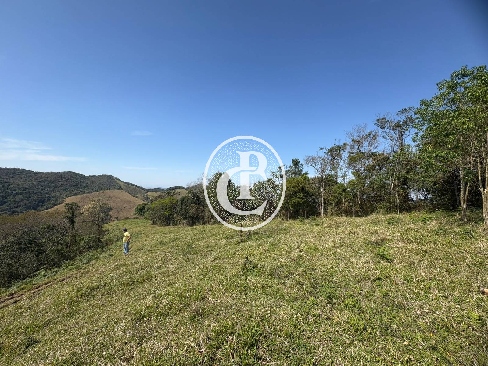 Sítio, 31 quartos, 29 hectares - Foto 14