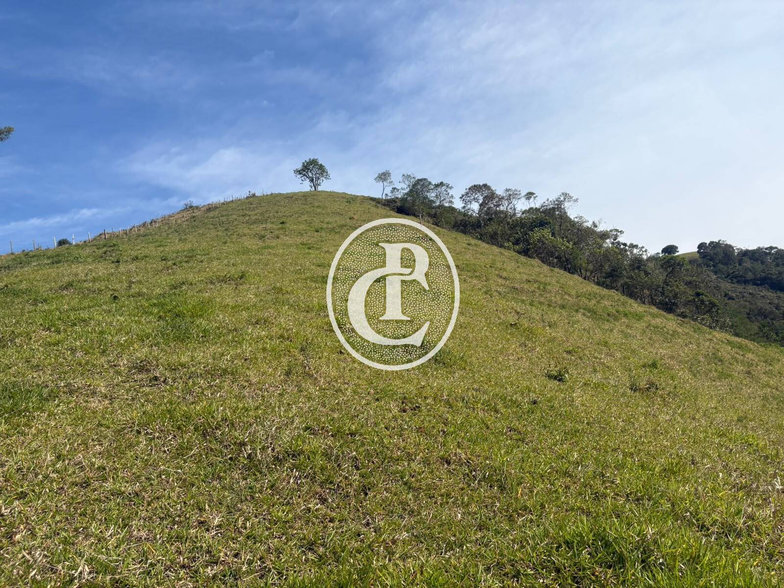 Sítio, 31 quartos, 29 hectares - Foto 24