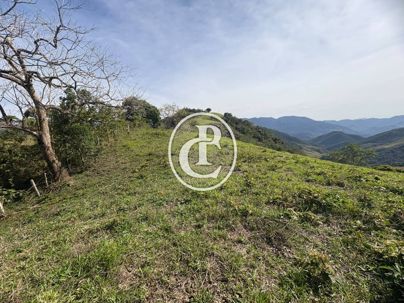 Sítio, 31 quartos, 29 hectares - Foto 26