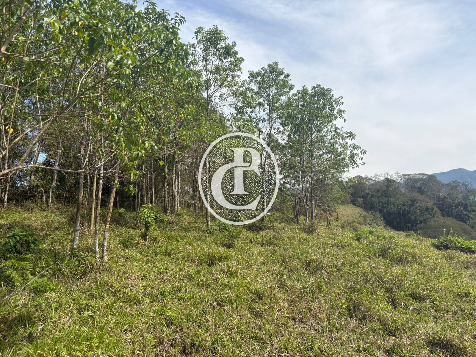 Sítio, 31 quartos, 29 hectares - Foto 29