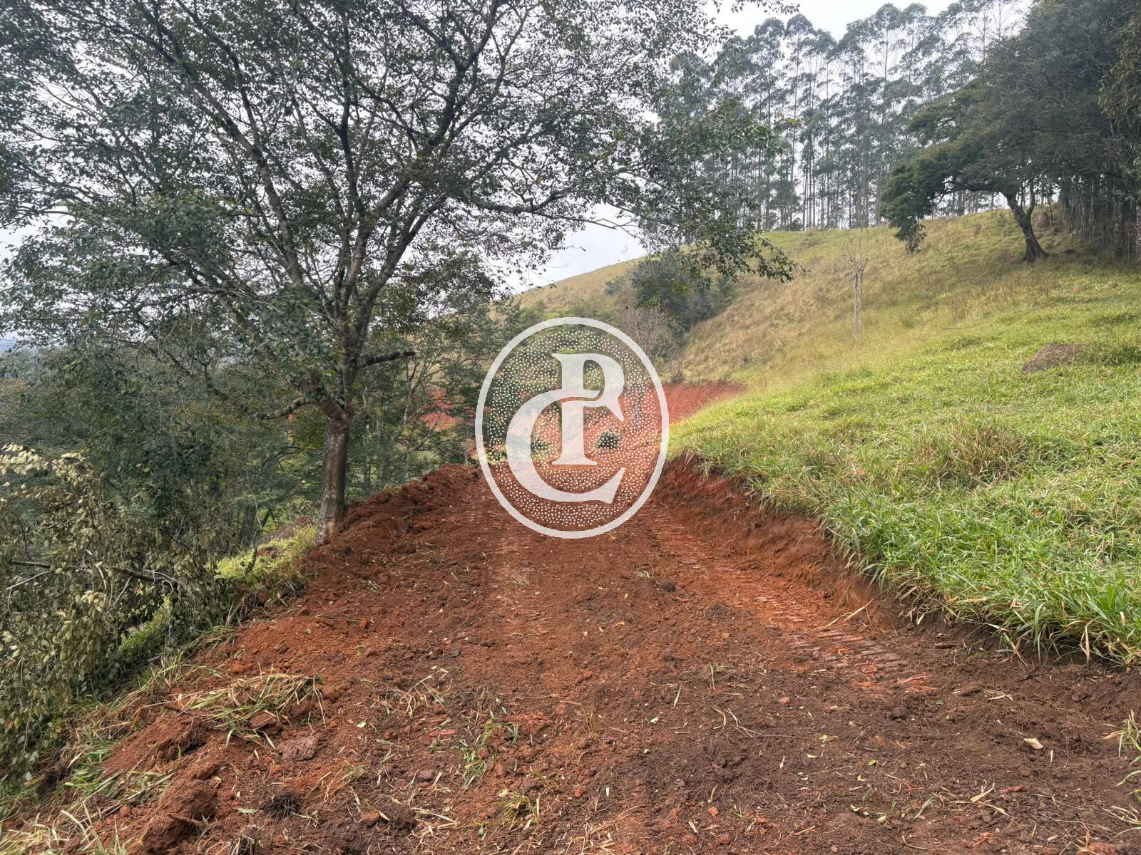 Terreno, 2 hectares - Foto 3