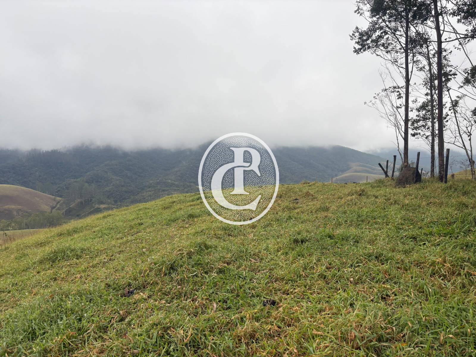 Terreno, 2 hectares - Foto 4