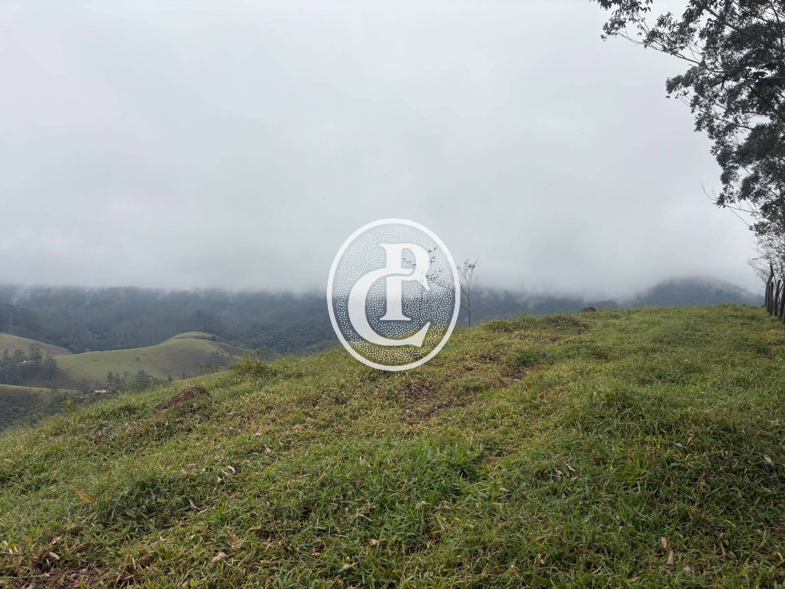 Terreno, 2 hectares - Foto 1