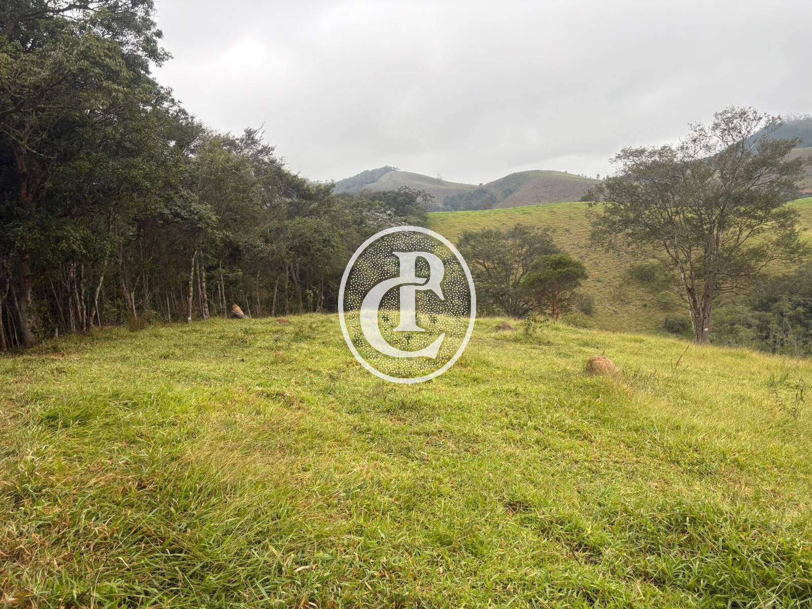 Terreno, 2 hectares - Foto 10