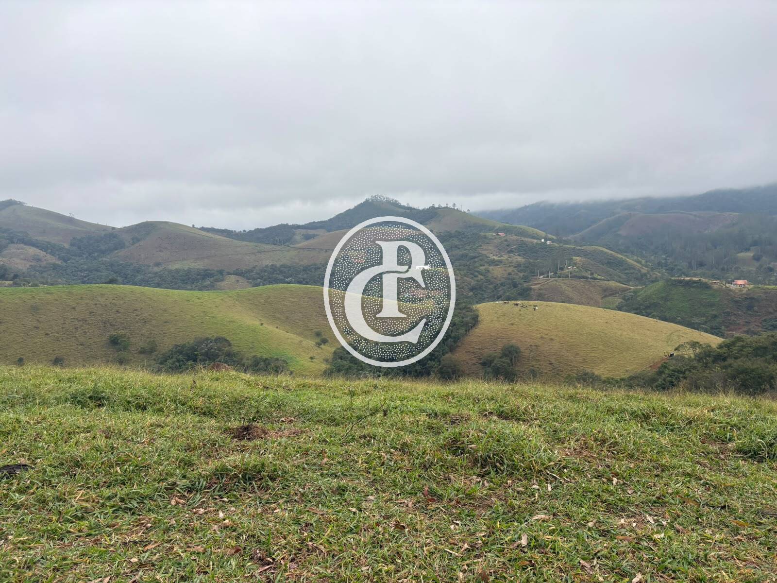 Terreno, 2 hectares - Foto 11