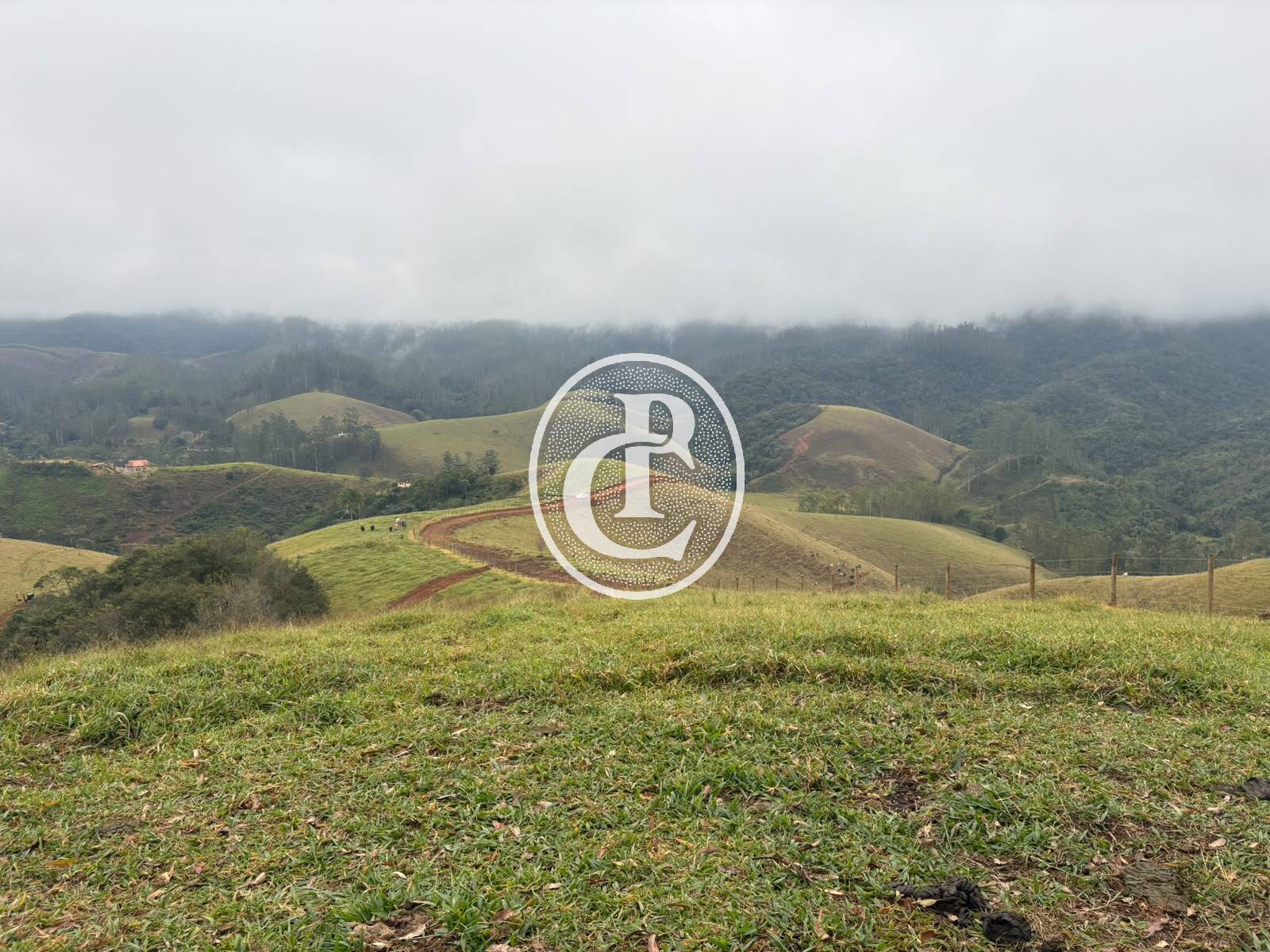 Terreno, 2 hectares - Foto 12