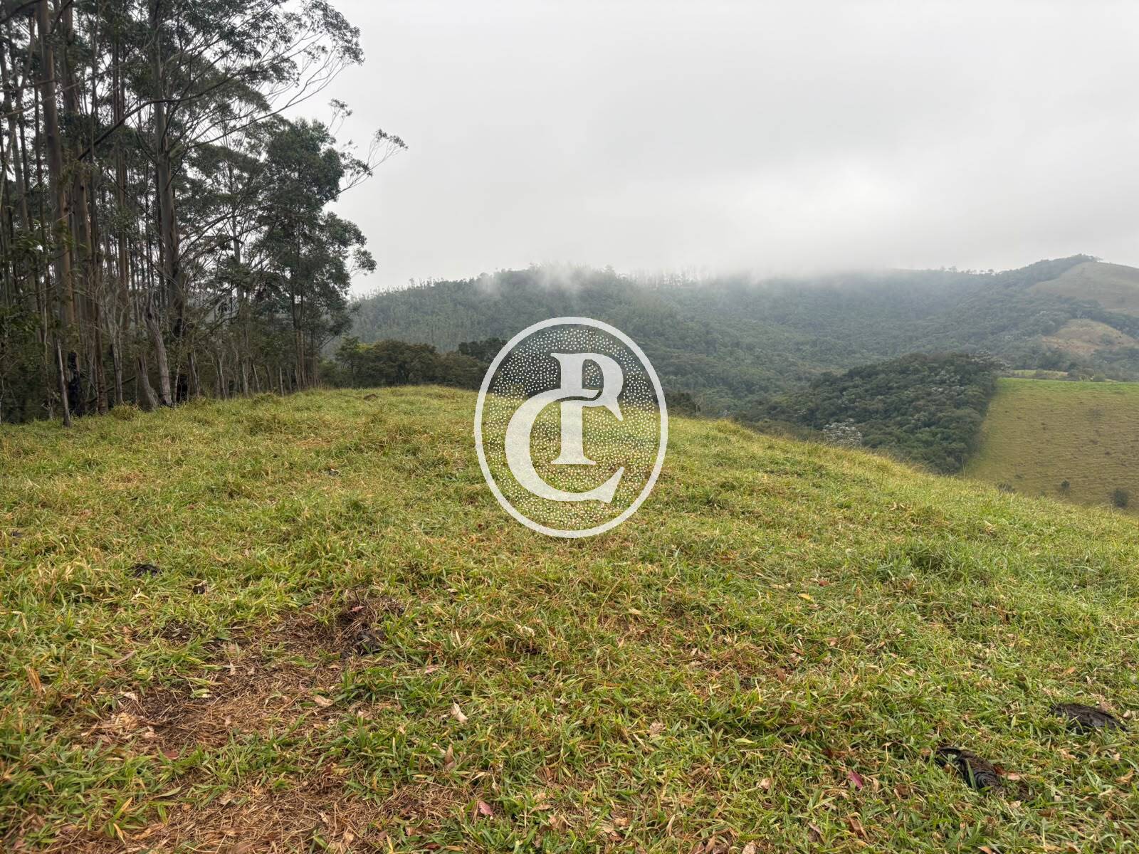 Terreno, 2 hectares - Foto 13