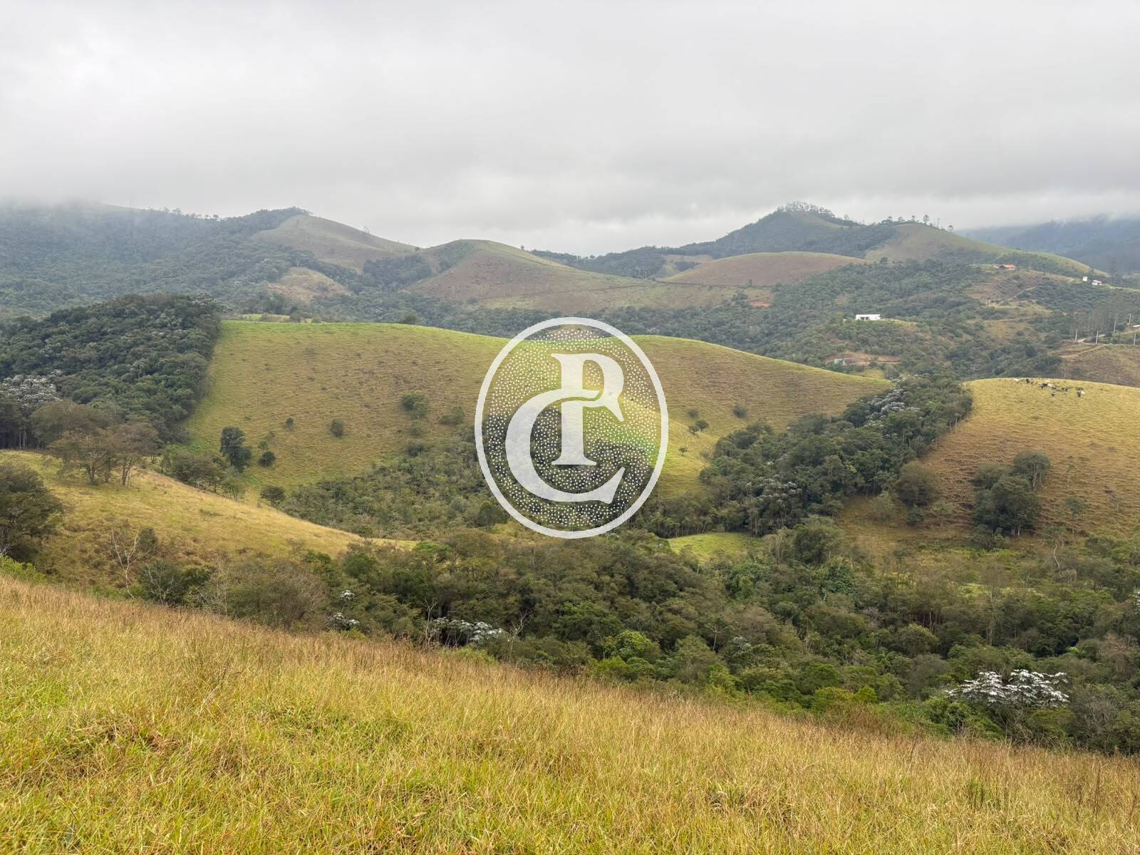 Terreno, 2 hectares - Foto 14