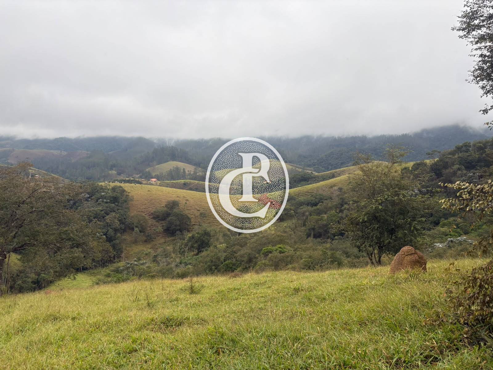 Terreno, 2 hectares - Foto 15