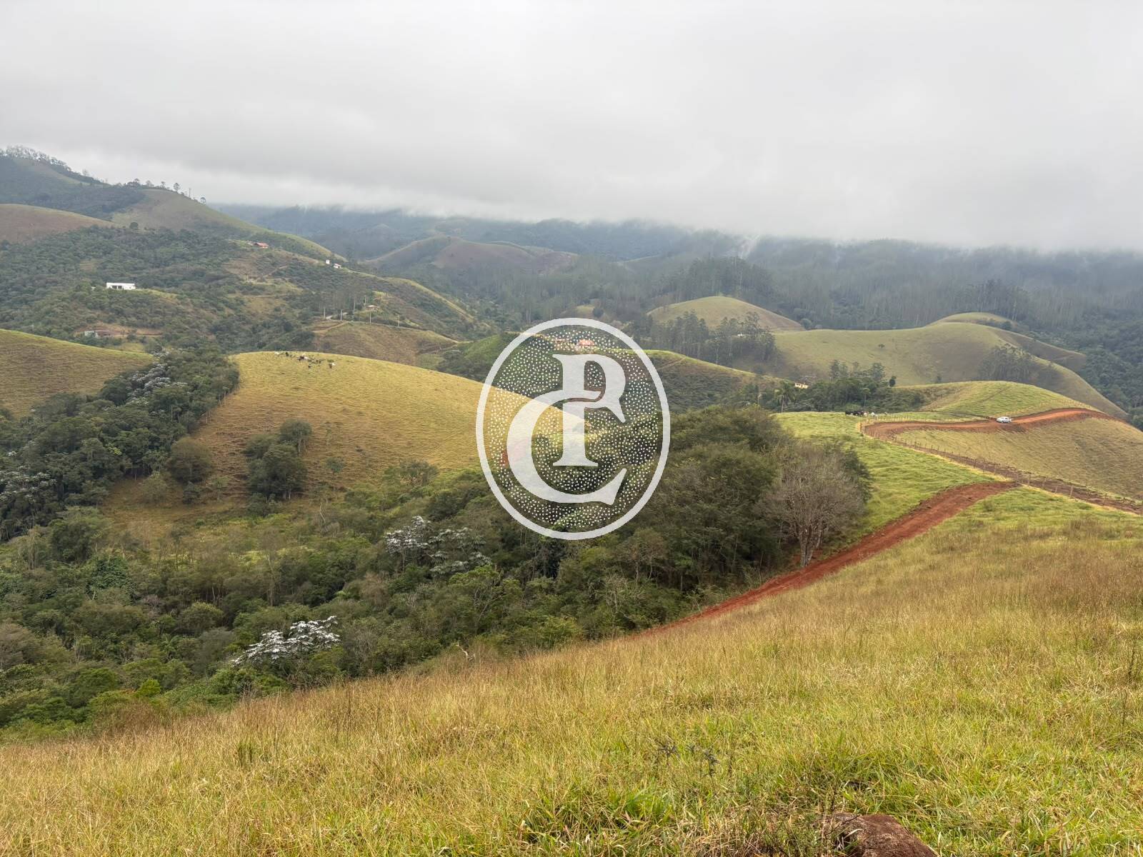 Terreno, 2 hectares - Foto 16