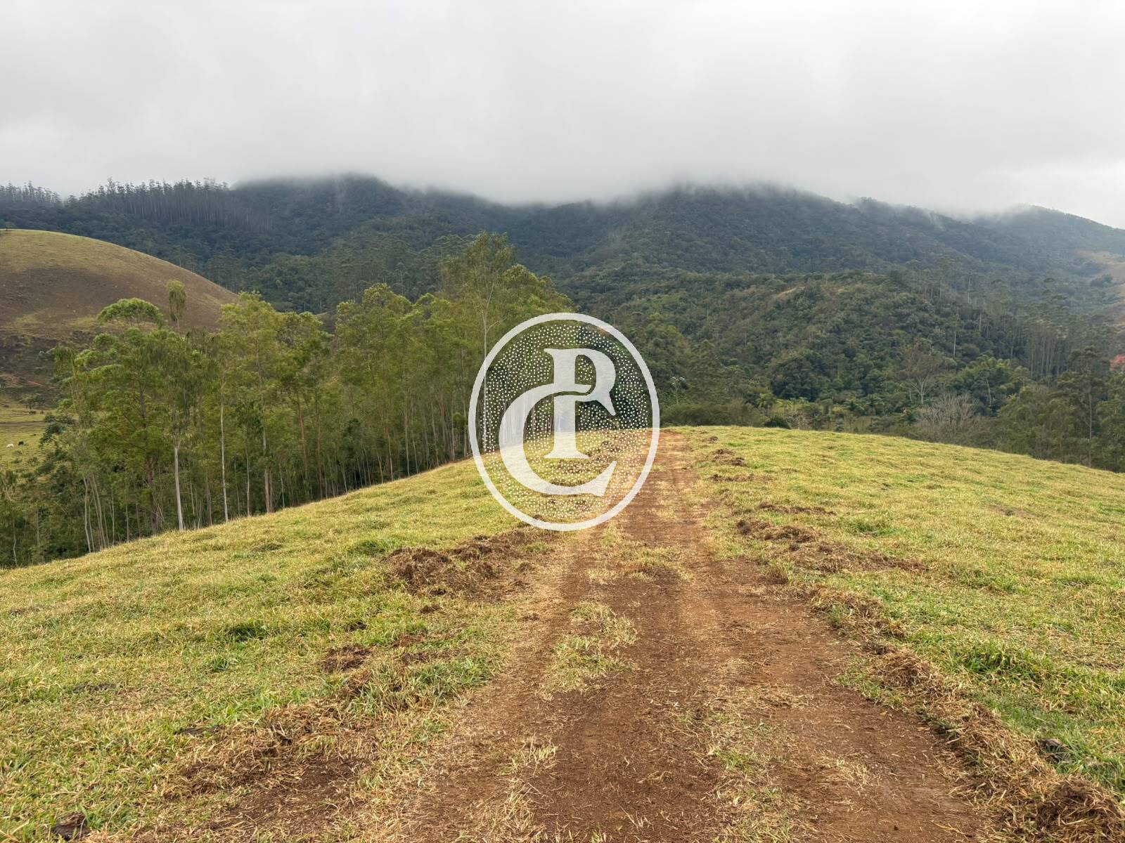 Terreno, 2 hectares - Foto 18